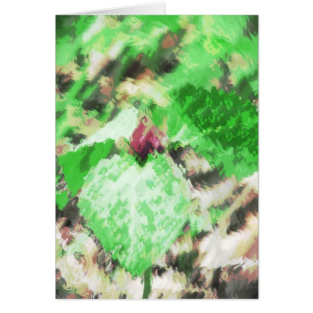 Flor salvaje de Trillium de primaveraTodas las oca (Frente)