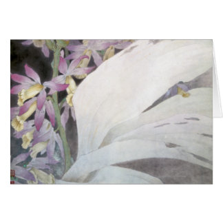 Flor Seires II Phaiuses