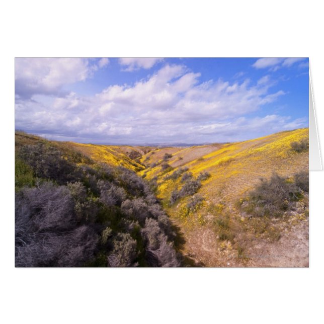 Flor silvestre (Anverso (Horizontal))