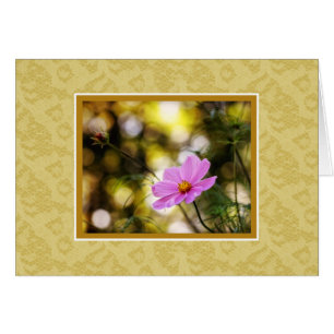 Flor silvestre de Cosmos de Twilight