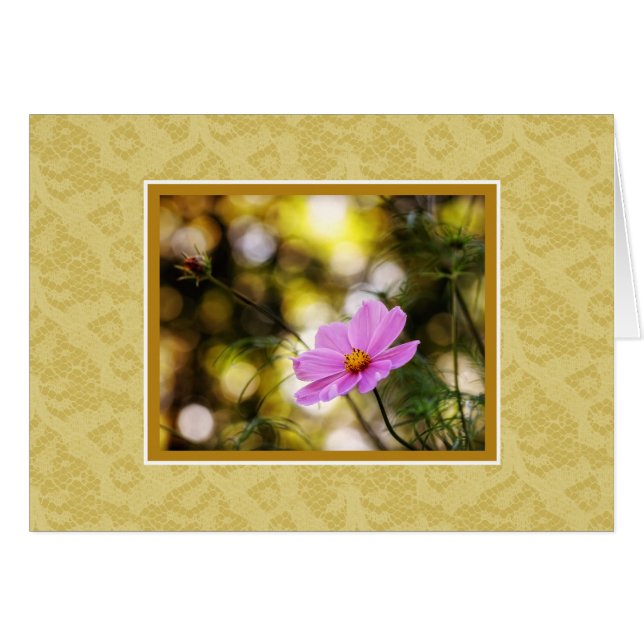 Flor silvestre de Cosmos de Twilight (Anverso (Horizontal))