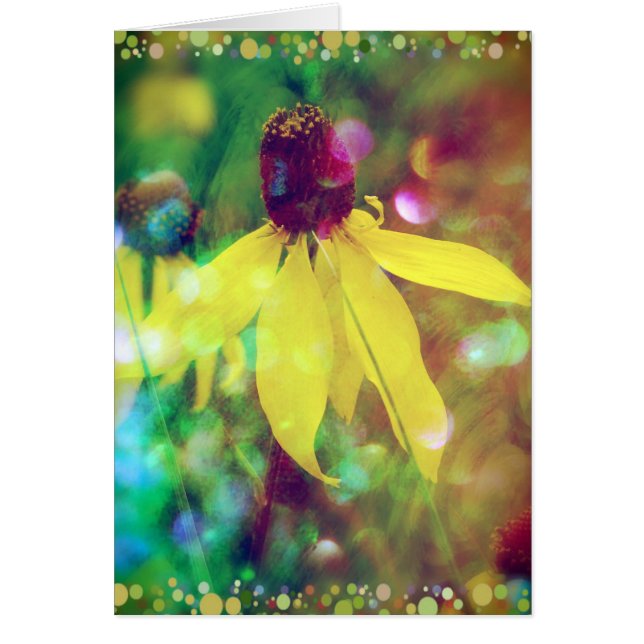 Flor silvestre de verano amarillo (Frente)