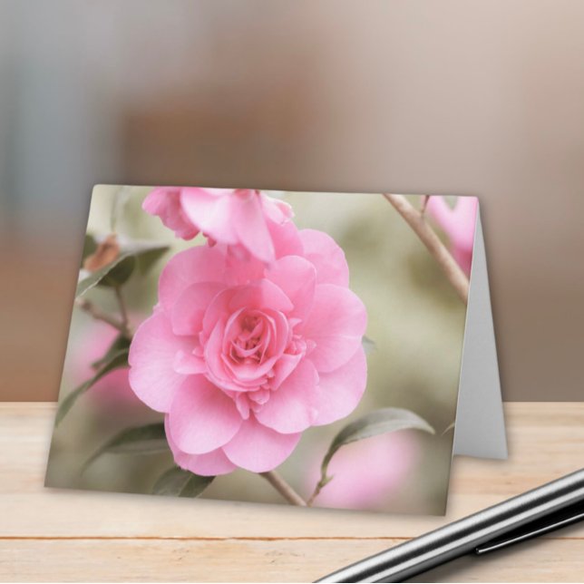 Flor suave de camellia rosa (Subido por el creador)