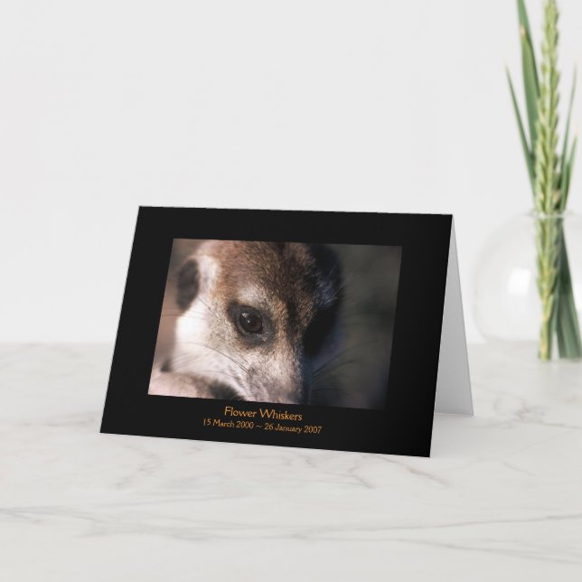 Flor - tarjeta de las leyendas (Anverso)