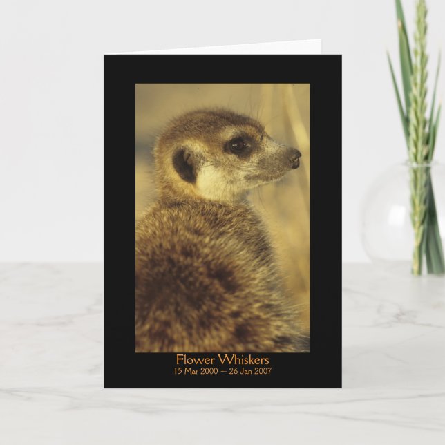 Flor - tarjeta de las leyendas (Anverso)