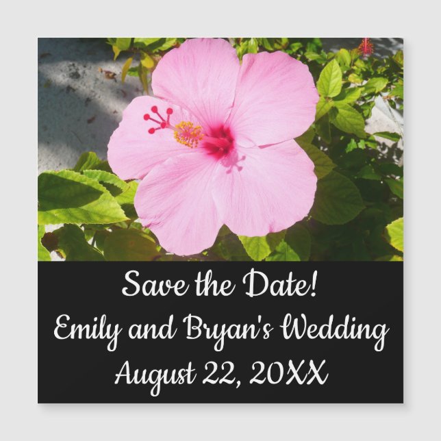 Flor tropical Hibiscus rosa (Anverso)