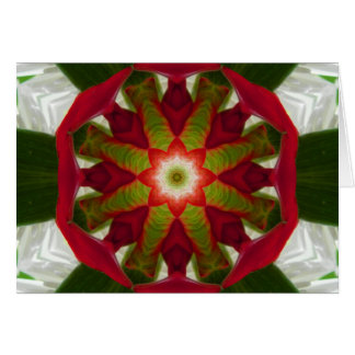 Flor tropical Mandala