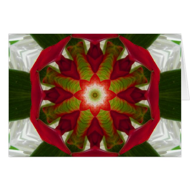 Flor tropical Mandala (Anverso (Horizontal))