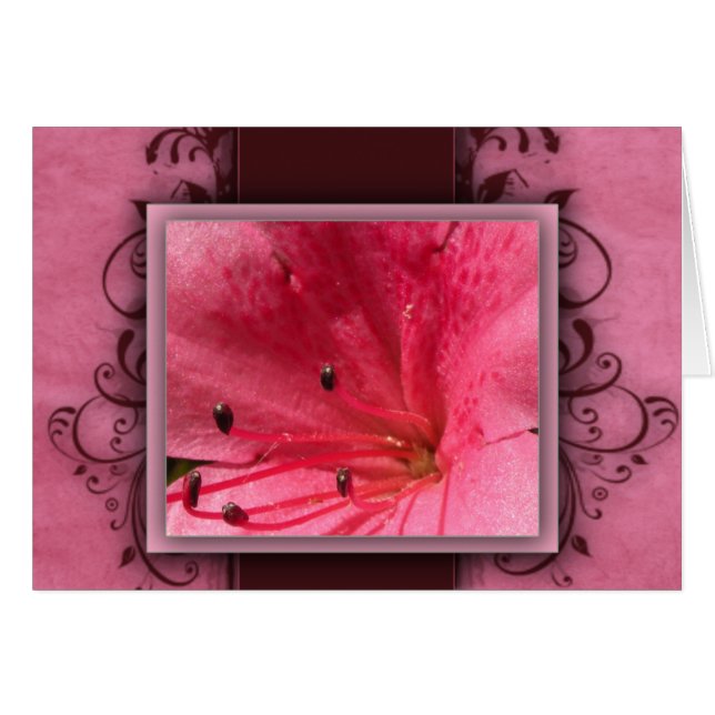 Flor tropical rosada del hibisco (Anverso (Horizontal))