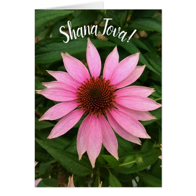 Flor violeta brillante Rosh Hashanah Card (Frente)