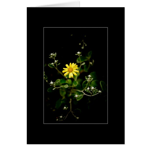 Flor y Brotes (Frente)