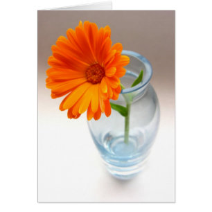 Flor y grasa
