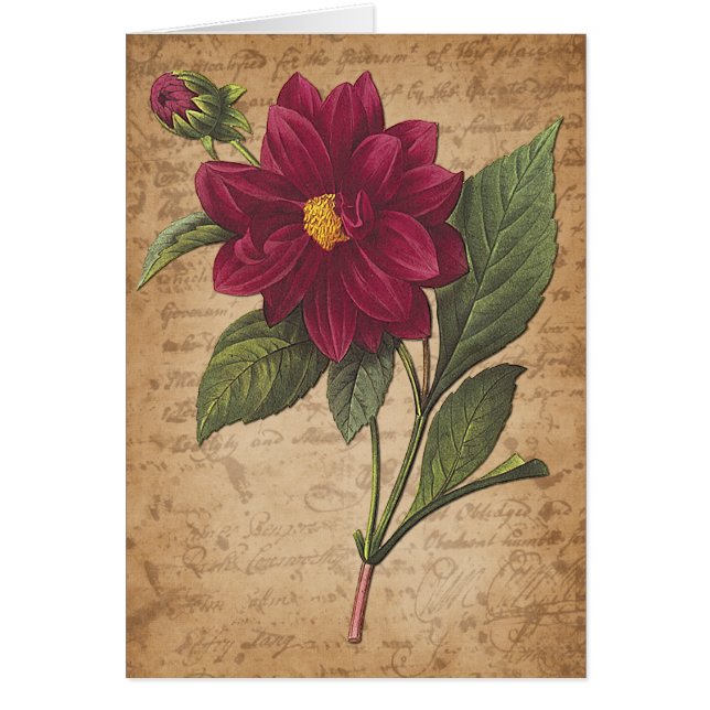 Flor y letra rojas (Frente)