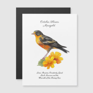 Flor y nacimiento de pájaros de Marigold de octubr