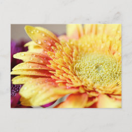 Flor y postal amarillas de las gotitas
