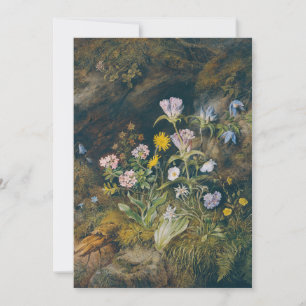Flora alpina Theodor Petter