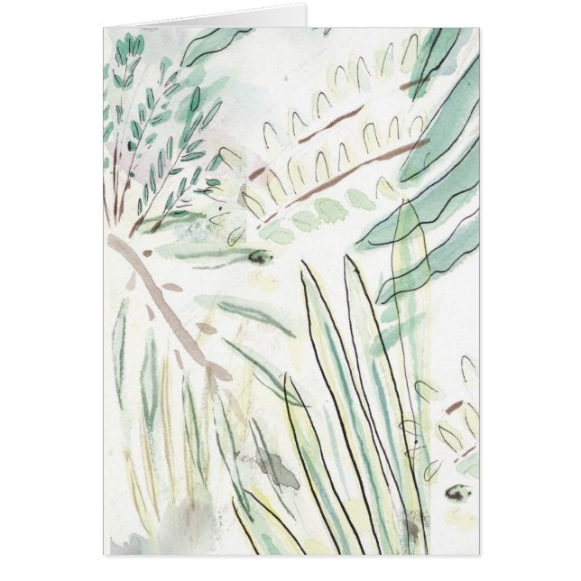 Flora de la Florida (Frente)