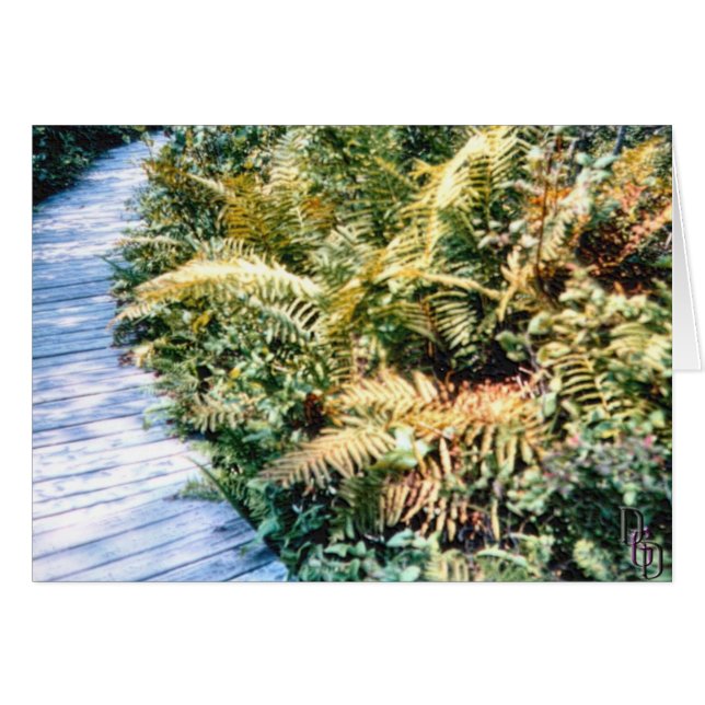 Flora de travesía (Anverso (Horizontal))