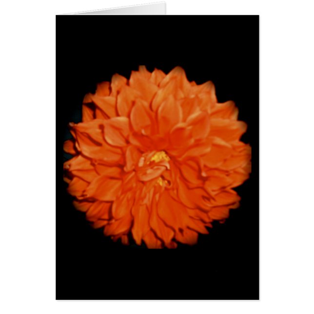 Flora escarlata (Frente)