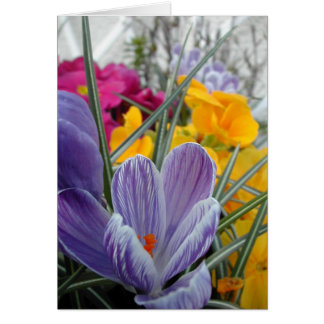 flora para la primavera #3