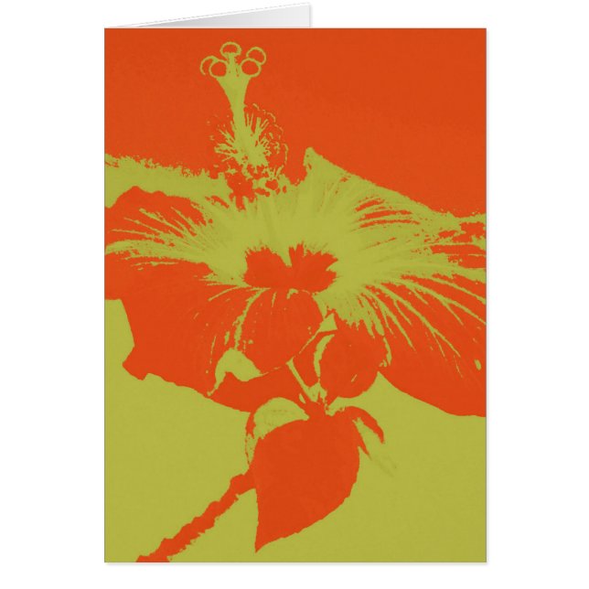 Floración #8 del hibisco (Frente)