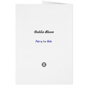 Floración de la dalia