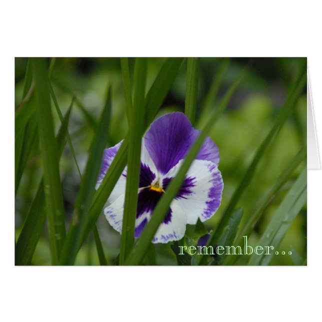 floración donde le plantan… (Anverso (Horizontal))