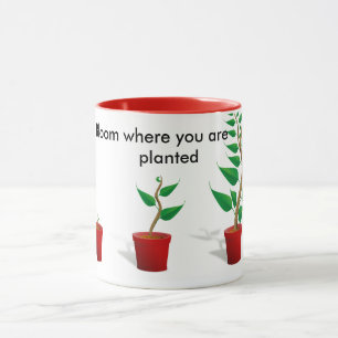 Floración donde usted está taza plantada