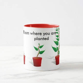 Floración donde usted está taza plantada