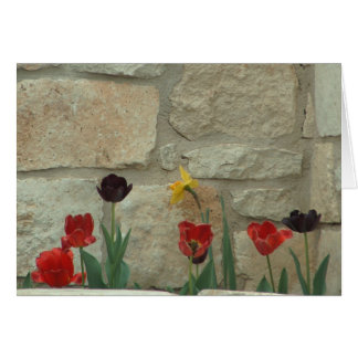 Floraciones de la ciudad