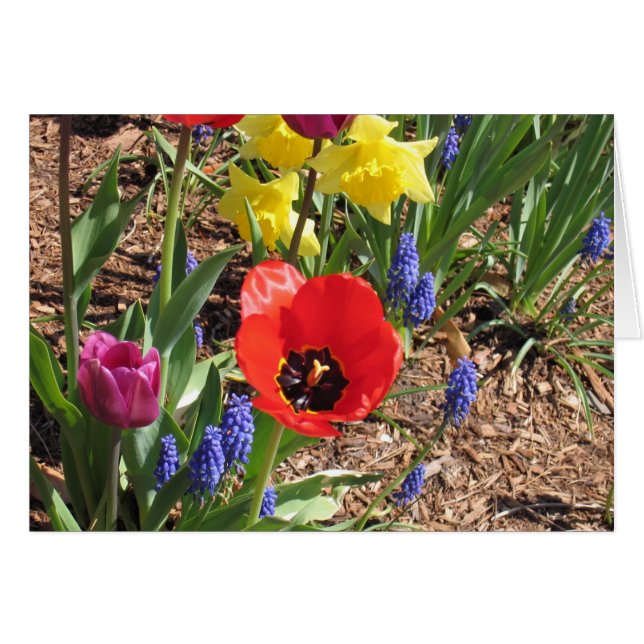 Floraciones de la primavera (Anverso (Horizontal))