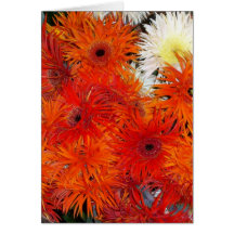 FLORACIONES DEL OTOÑO