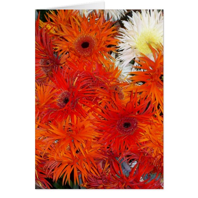 FLORACIONES DEL OTOÑO (Frente)