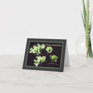 Floraciones profundas del Dogwood de la tarjeta de
