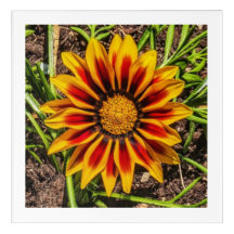 Floral 1 Arte de pared acrílico