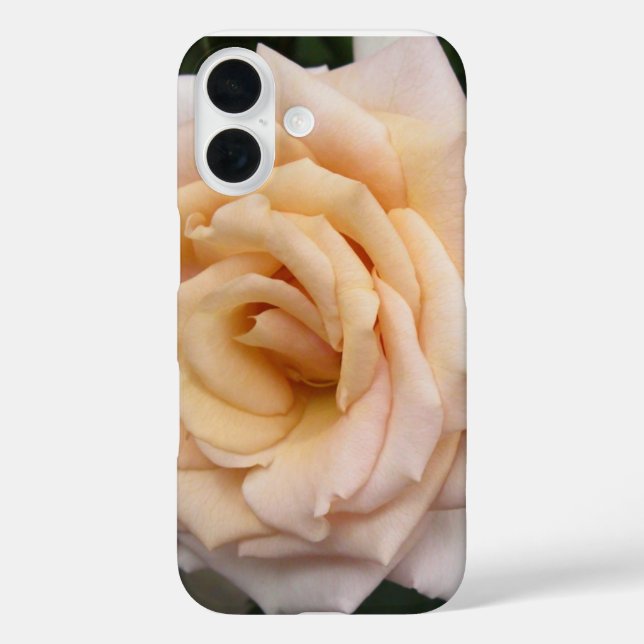 Floral Blackberry funda audaz con Rosa romántico (Reverso )