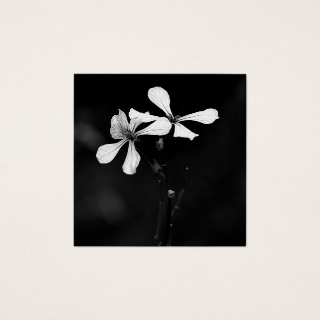 floral blanca y negra mínima (Anverso)