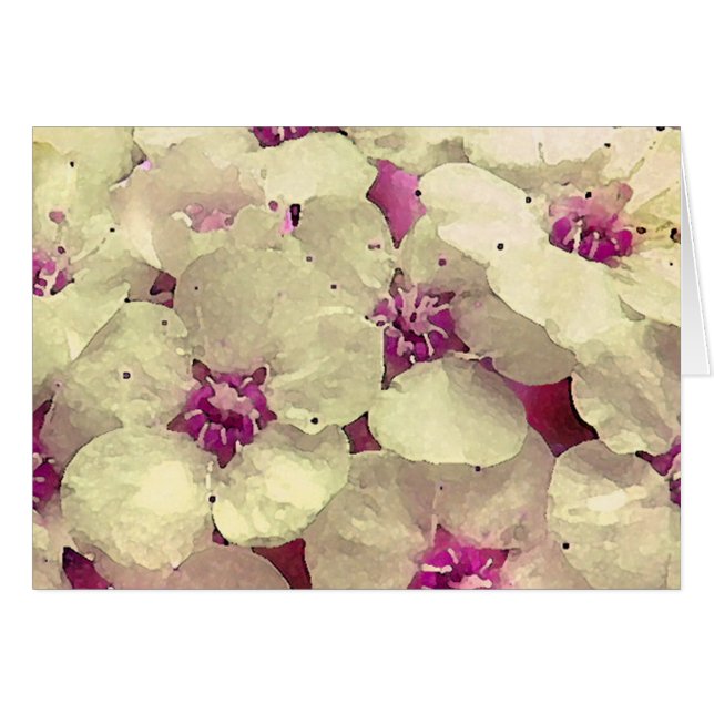 Floral blanco y rosado (Anverso (Horizontal))