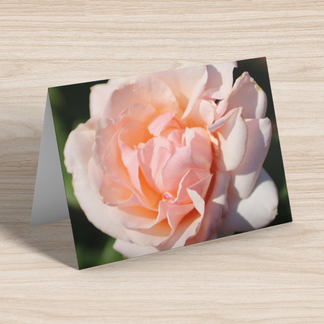 Floral Blank Interior Bonito Peach Elegante Doblad (Subido por el creador)