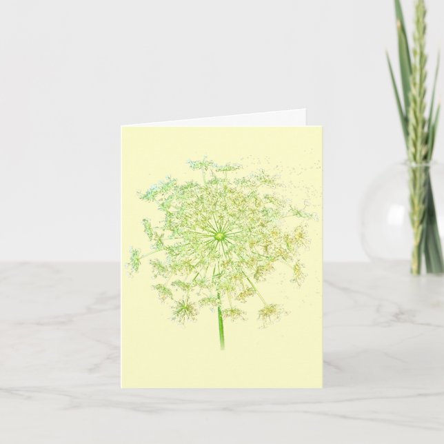 Floral de encaje de Reina Annes en tarjetas de not (Anverso)