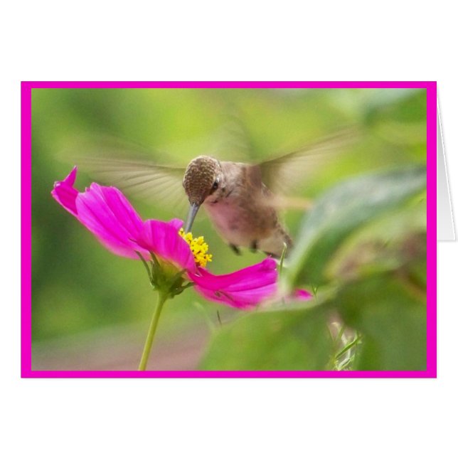 floral de fauna silvestre colibrí (Anverso (Horizontal))