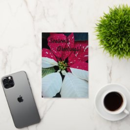 Floral de poinsettia blanca y roja