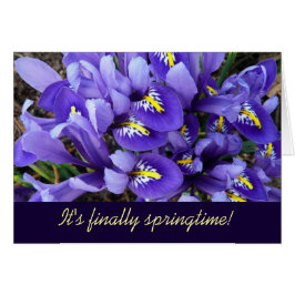 Floral de primavera de irlandeses azules en miniat