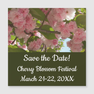 Floral de primavera del árbol de cerezo III con do