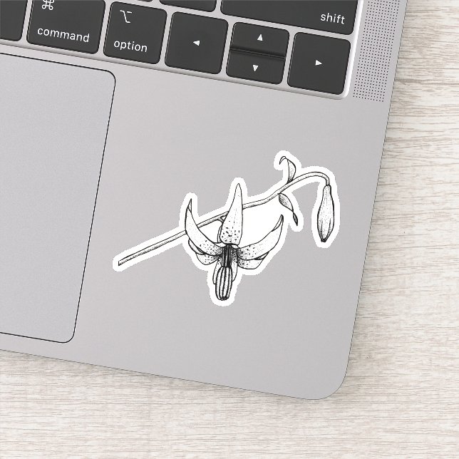 Floral de primavera | Lirio de Columbia | Pegatina (Detalle)