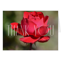 Floral de Rosa Roja Gracias