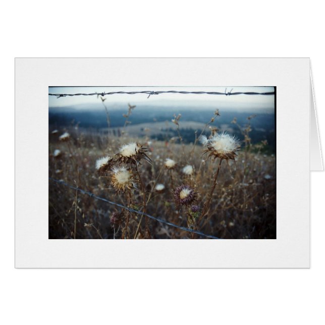 floral en blanco (Anverso (Horizontal))