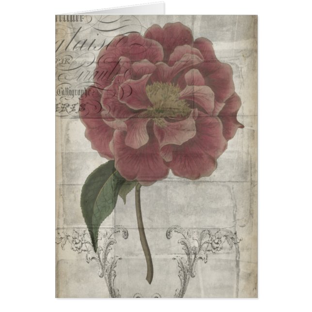 Floral francesa III (Frente)