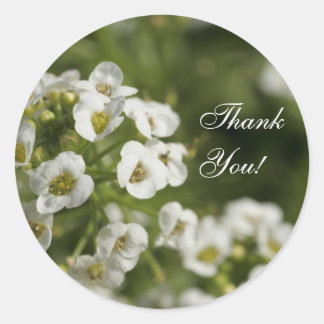 Floral Gracias Pegatinas