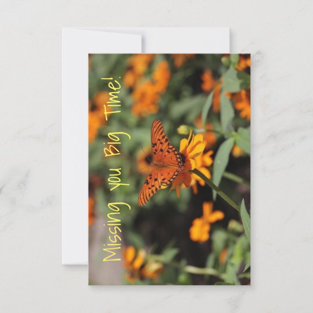 floral mariposa que le falta la tarjeta (Anverso)